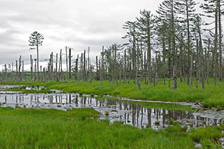 釧路・根室でレンタカーを借りるならたびらいが便利