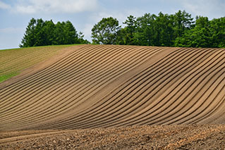 留寿都村でレンタカーを借りるならたびらいが便利
