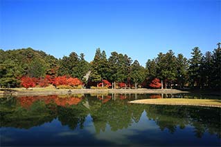 平泉市