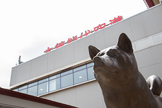 大館能代空港前にある秋田犬の銅像