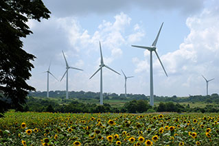 福島東部（郡山・いわき・白河）でレンタカーを借りるならたびらいが便利