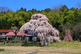須賀川市