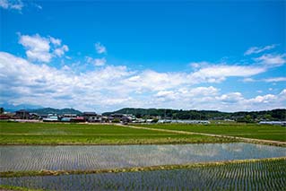 鹿沼市