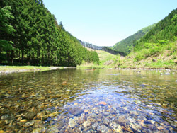 佐野市