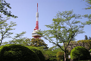 栃木南部（宇都宮・足利・真岡）でレンタカーを借りるならたびらいが便利
