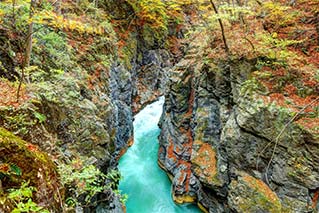 長野原草津口