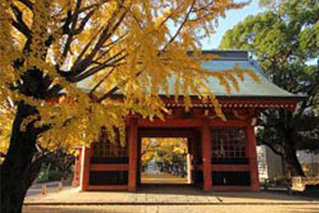 市川市