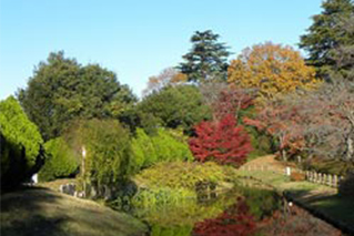 野田市
