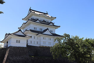 神奈川西部（相模原・厚木・小田原）でレンタカーを借りるならたびらいが便利