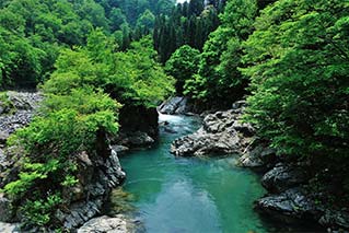 津南町