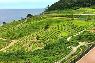 石川北部（七尾・輪島・能登）でレンタカーを借りるならたびらいが便利