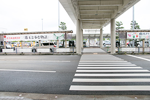 10.穿越斑馬線後，朝接駁車上車處前進。