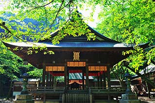 敦賀市
