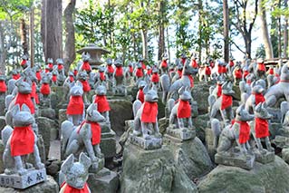安城市