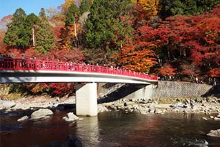 豐田市