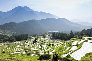 熊野市