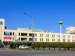 津駅