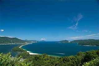 天橋立市