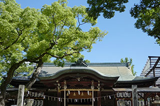 大阪東部（寝屋川・東大阪・藤井寺）でレンタカーを借りるならたびらいが便利