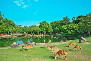 近鐵奈良市