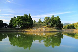 天理市