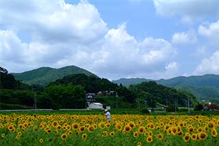 三好市
