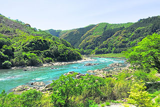 高知西部（足摺・四万十）でレンタカーを借りるならたびらいが便利