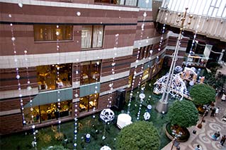 大橋市