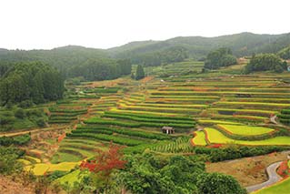 八女市
