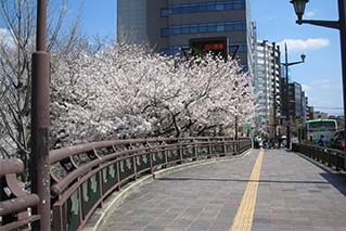 大甲橋