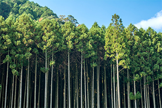 中津市