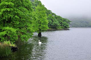 薩摩川內市