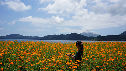 穿越薩摩半島，眺望開聞岳