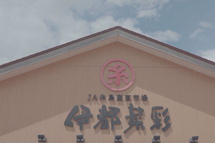 伊都菜彩