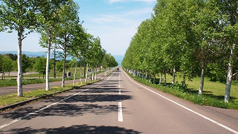 洞爺湖を目指してグルメドライブ～各地で名物スイーツやグルメと景色を楽しみながら進む～