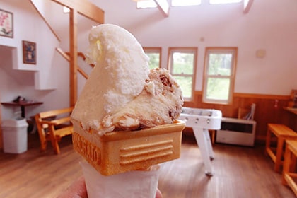 元山牧場直営店ELFIN(エルフィン)のソフトクリーム