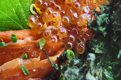 サーモンファクトリーで食べられる人気の海鮮丼
