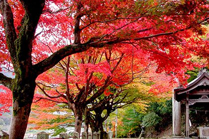 養父神社