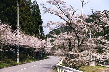 川代渓谷