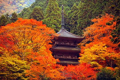 高源寺