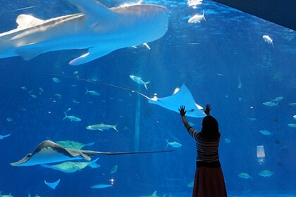 IO WORLD鹿兒島水族館