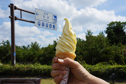 桜島小みかんソフトクリーム