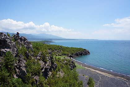 展望所からみた海岸の景色