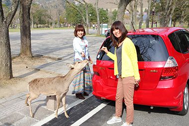 奈良公園