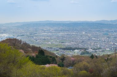 高円山