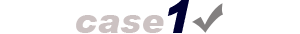 case1