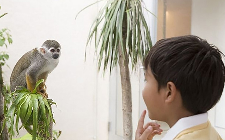 沖繩海灘塔樓酒店外觀照片