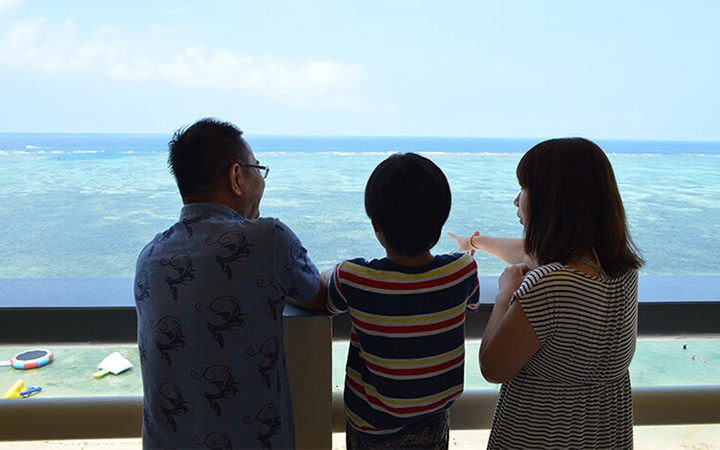 麗山海景皇宮渡假酒店谷茶灣其他設施的照片