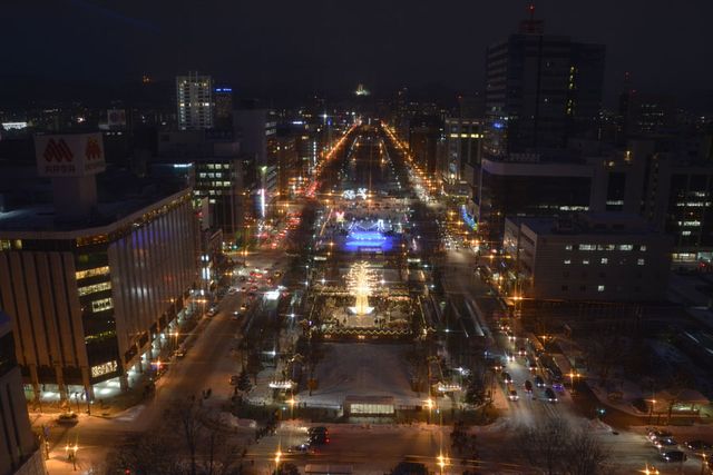 札幌白色燈樹節