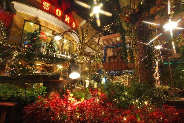 為沖繩各地點綴上冬季的繽紛色彩